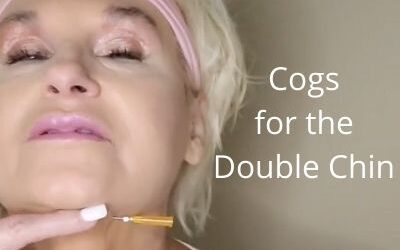 Cogs for the Double Chin | Good Cog for Beginners
