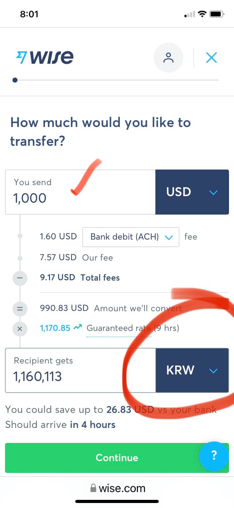 wise payment instructions amount of transfer
