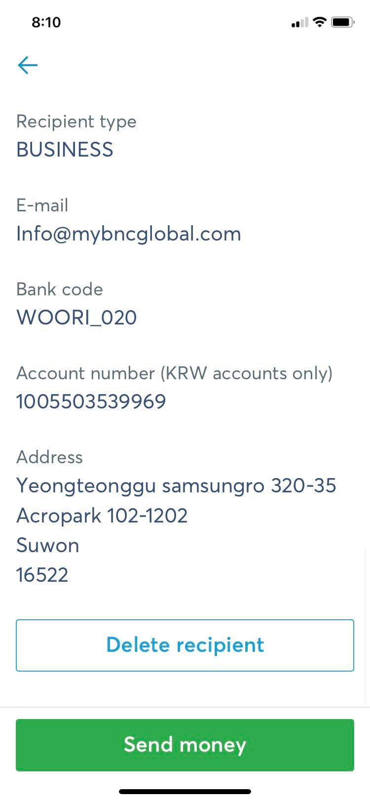 wise payment instructions business details