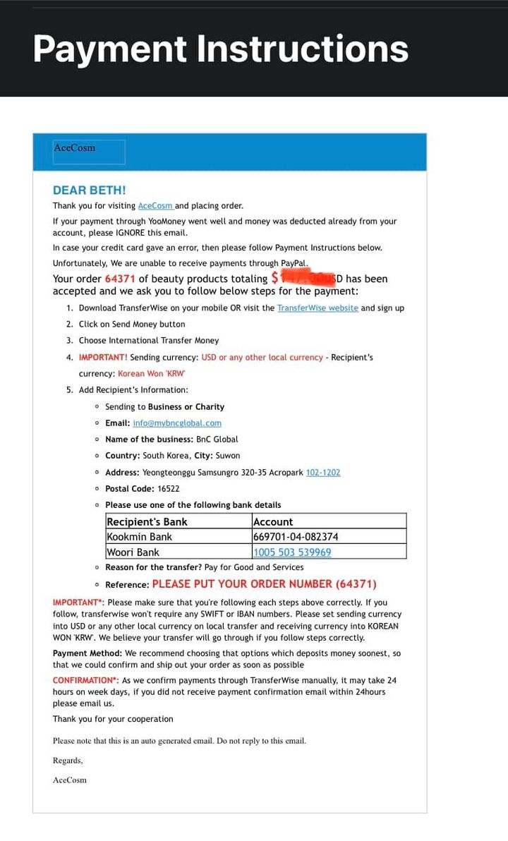 wise payment instructions email