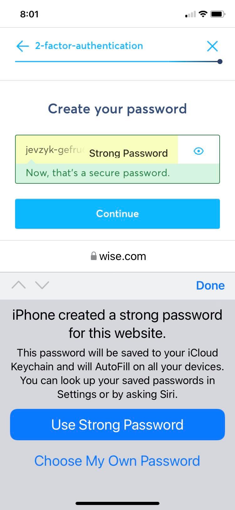 wise payment instructions password