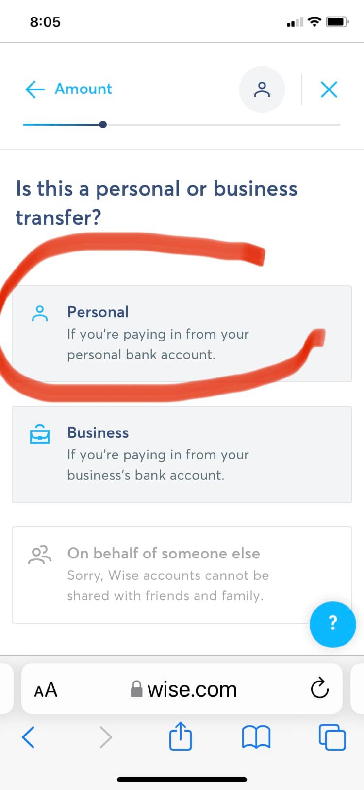 wise payment instructions personal transfer