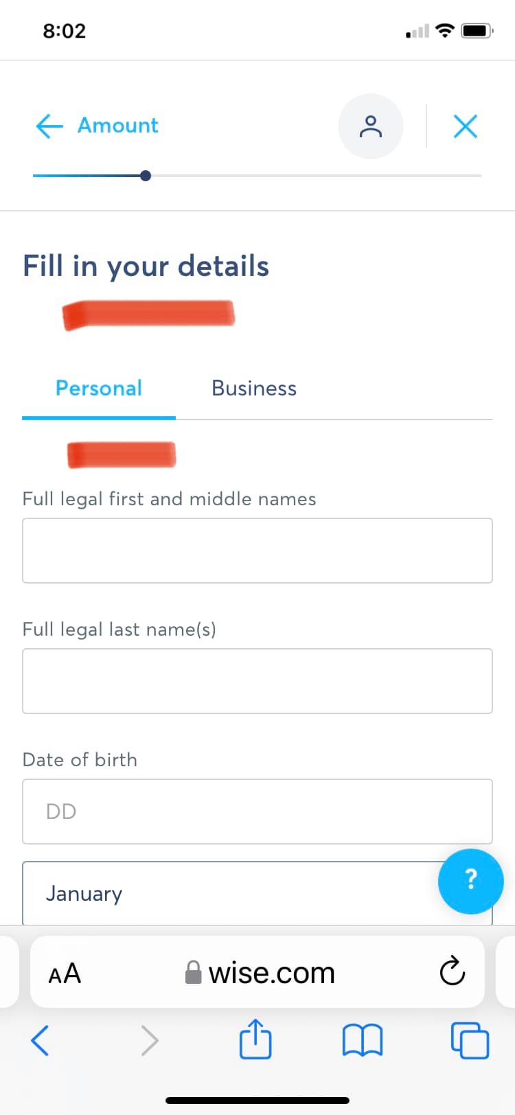 wise payment instructions your details